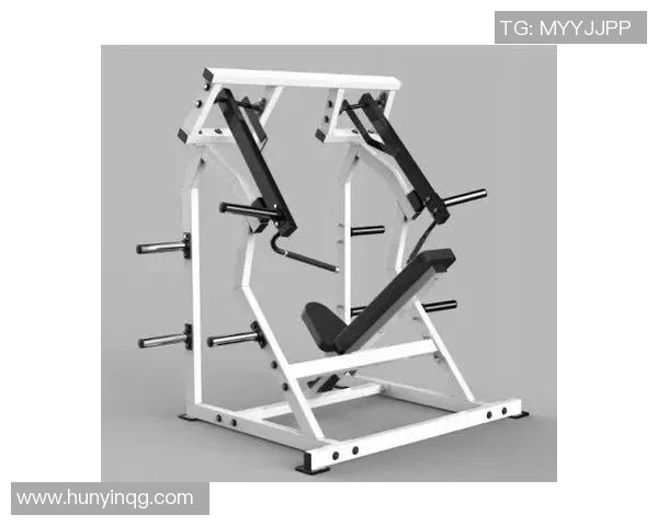 黑龙江健身器材:黑龙江地区健身器材品牌及销售渠道 黑龙江健身器材:黑龙江地区健身器材品牌及销售渠道