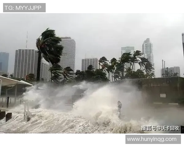 全球气候变化加剧极端天气频发 专家呼吁加强全球应对合作 全球气候变化加剧极端天气频发 专家呼吁加强全球应对合作