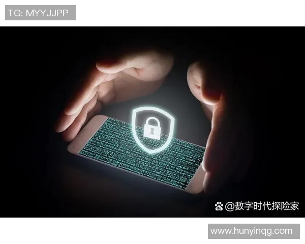 《法律视角下的数字隐私保护与个人信息安全研究》