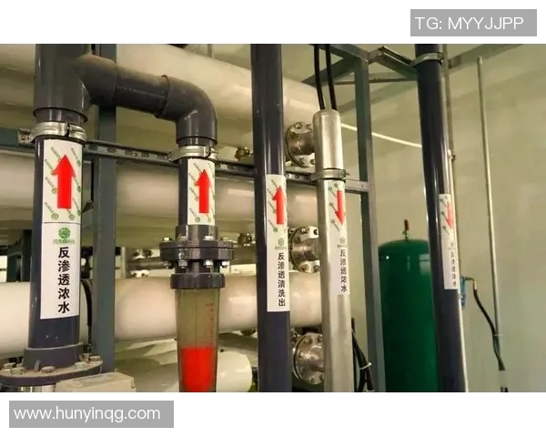 如何高效进行泳池维护管理确保水质清洁和设备长期运行稳定